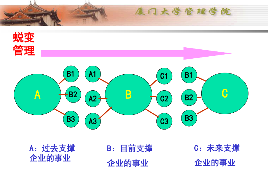 战略(厦门大学)讲解_第3页