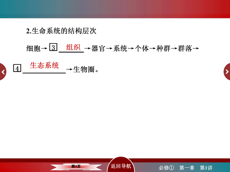 高三生物一轮复习走进细胞_第5页