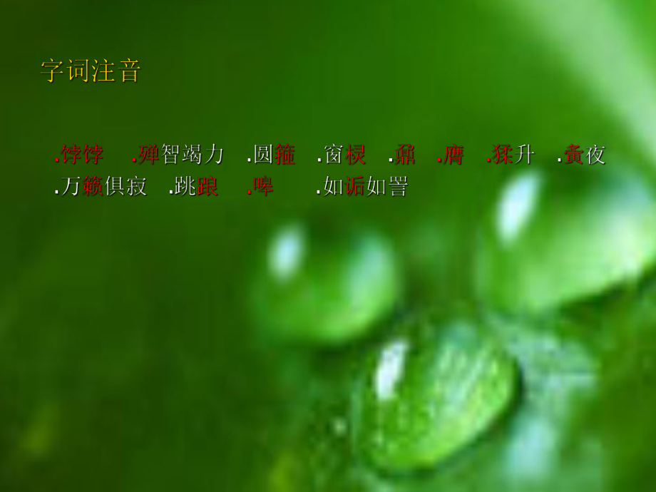 千教网-七年级上语文《猫的故事》(梁实秋)课件MHqnPq_第3页