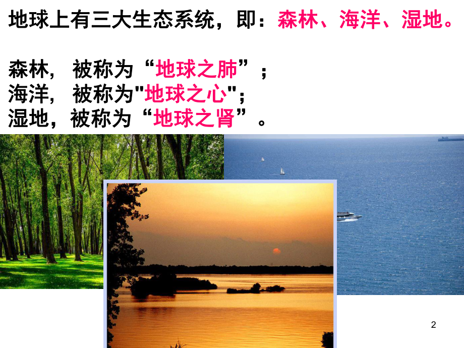 湘教版 湿地资源的开发与保护(课堂PPT)_第2页