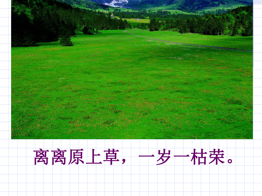 二下2《古诗两首》盛红丽_第5页