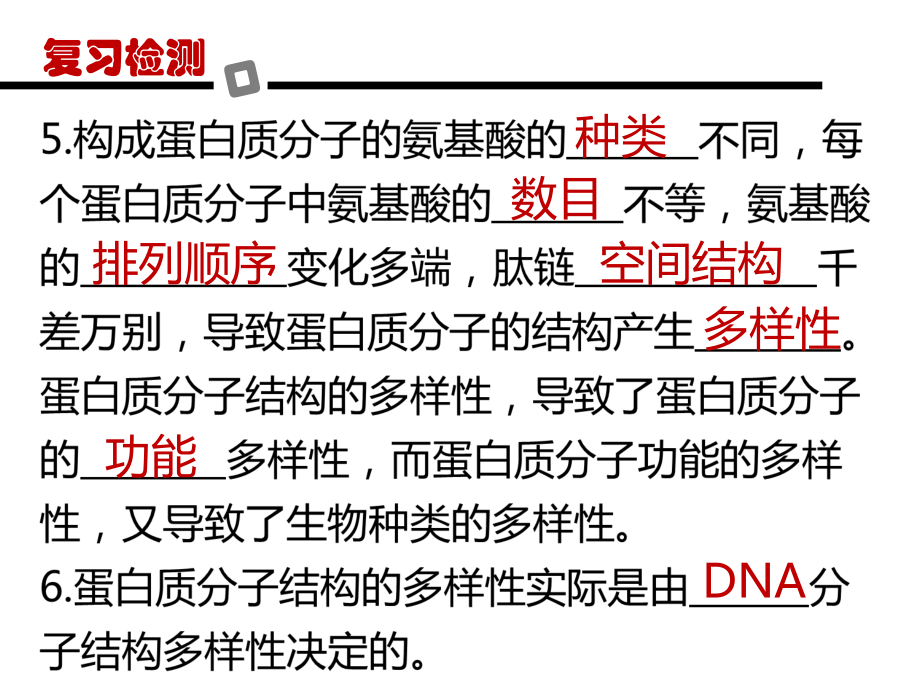 遗传信息的携带者-核酸_第4页