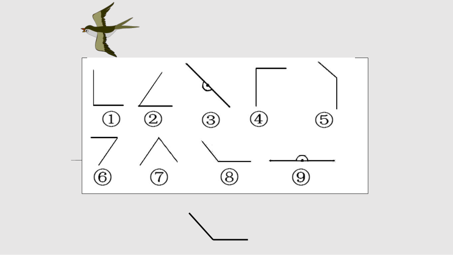 欧桂琳角的分类和画角教学_第5页