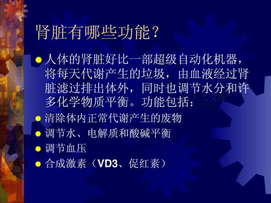 肾友会--知识讲座.ppt课件_第2页