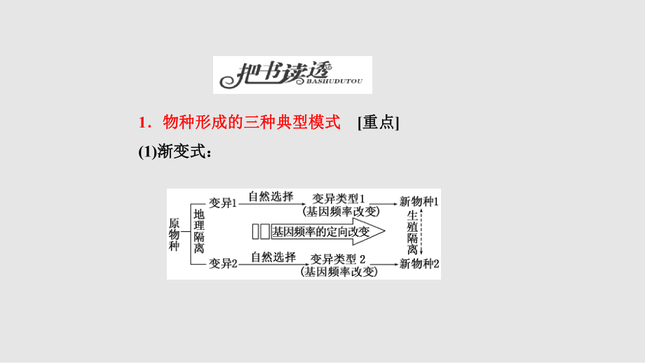 高考生物二輪研習試題專題四_第5頁