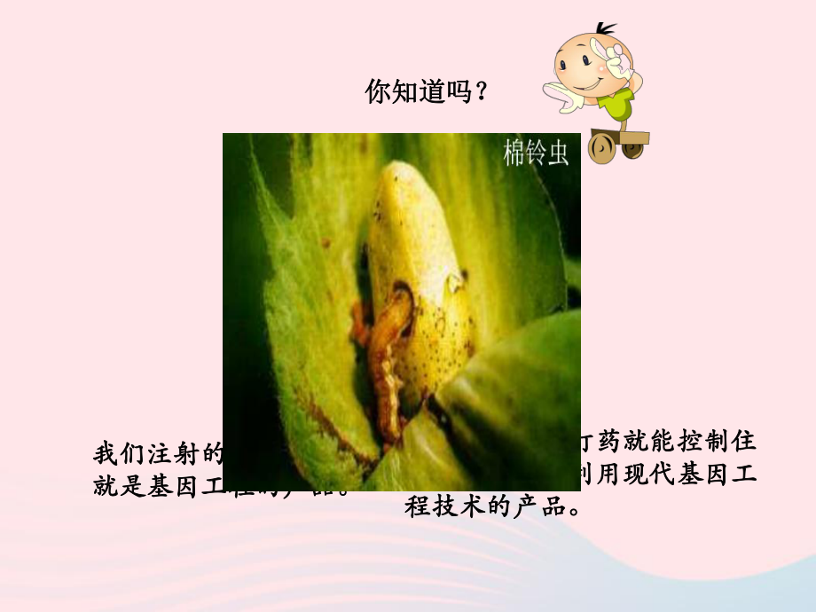 【最新】五年級(jí)科學(xué)下冊(cè) 4.3《神奇的基因工程》課件1_第3頁