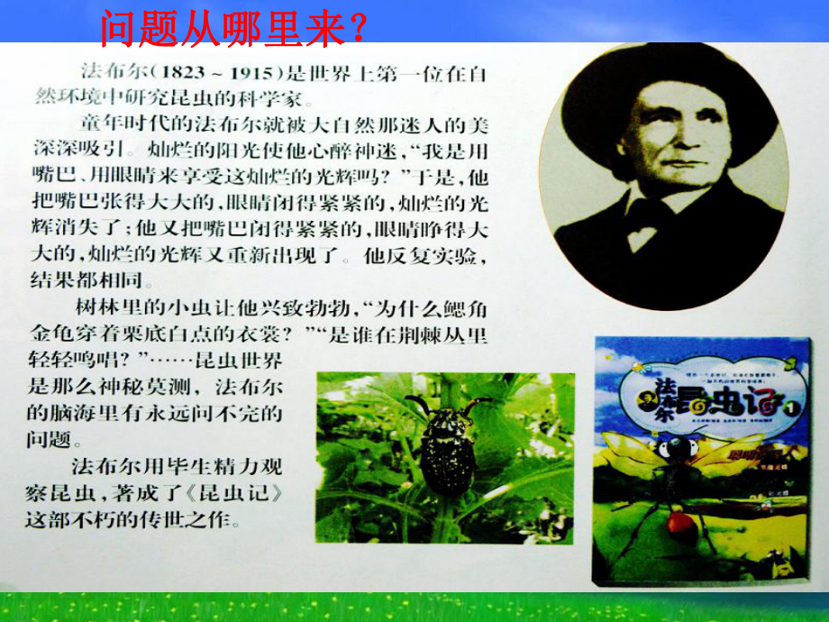 三上《尽可能多地提出问题》PPT课件_第3页