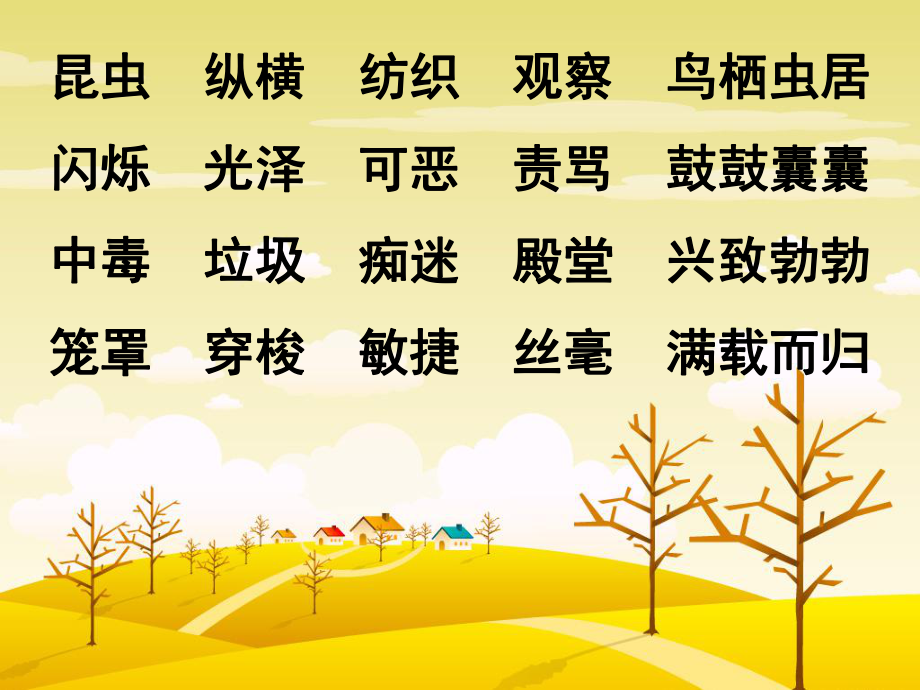 装满昆虫的衣袋第一、二课时_第5页