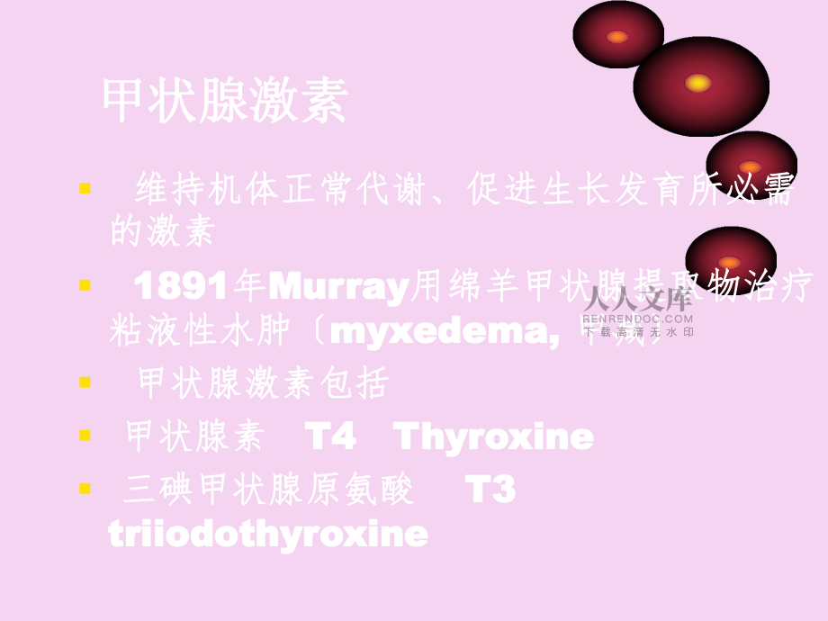 药理学-甲状腺激素及抗甲状腺药 (2)ppt课件_第2页