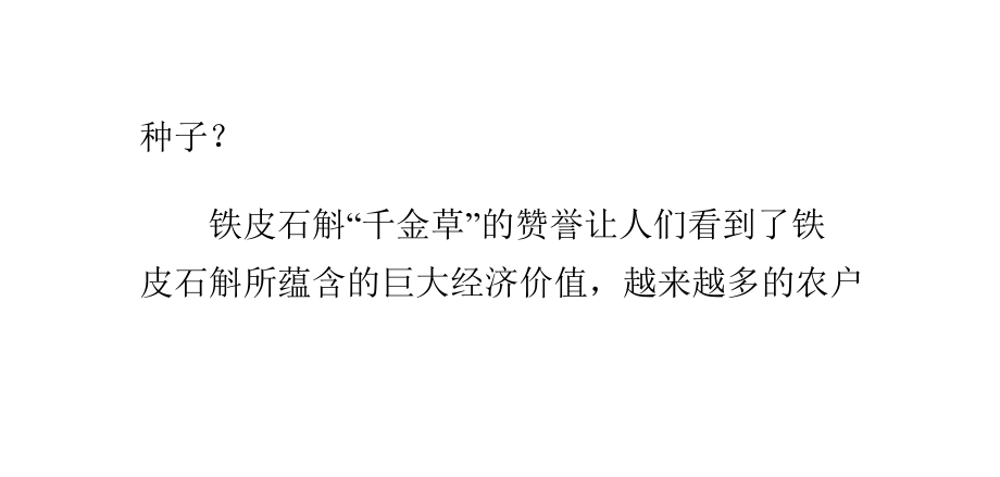 铁皮石斛种子_第2页