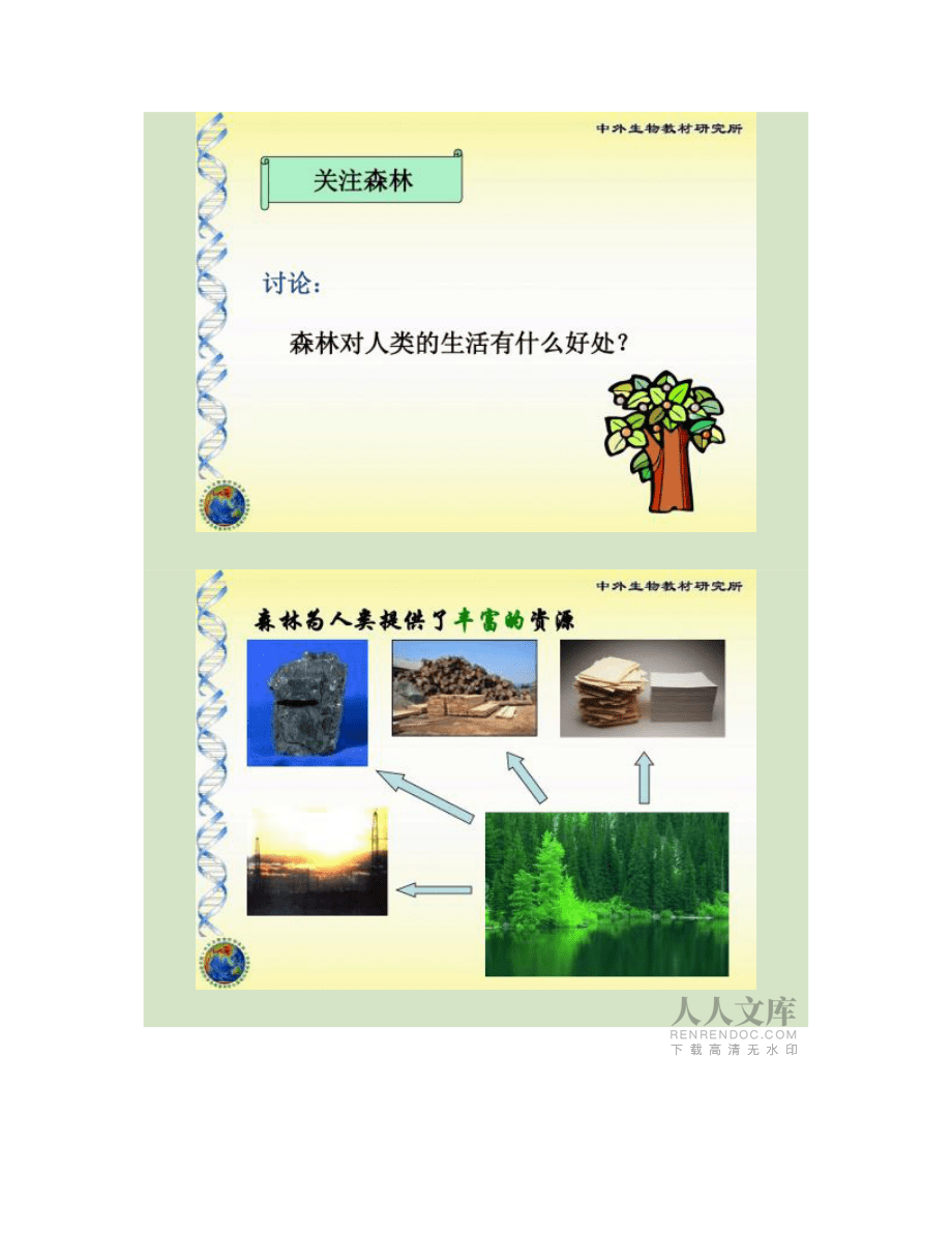 绿化,我们共同的行动_第2页