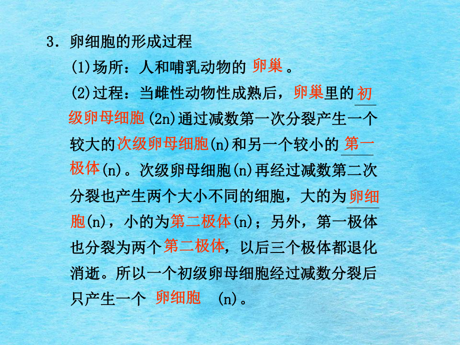 高中生物 第2章第1節(jié)減數(shù)分裂和受精作用同步教學(xué)案ppt課件_第4頁
