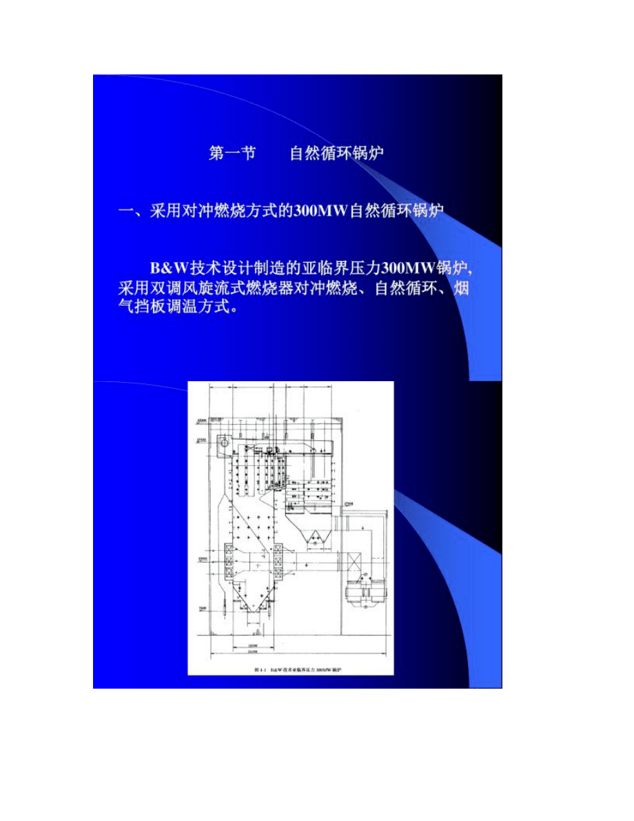 第一章 火電廠鍋爐綜述_第5頁