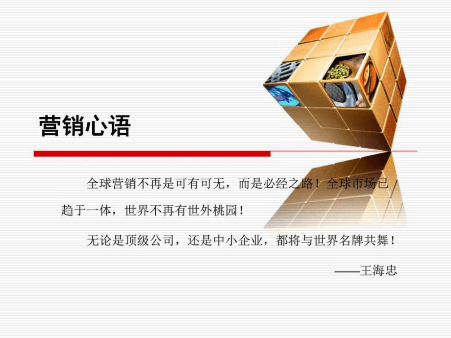 第一章_国际市场营销导论_ppt课件_第3页