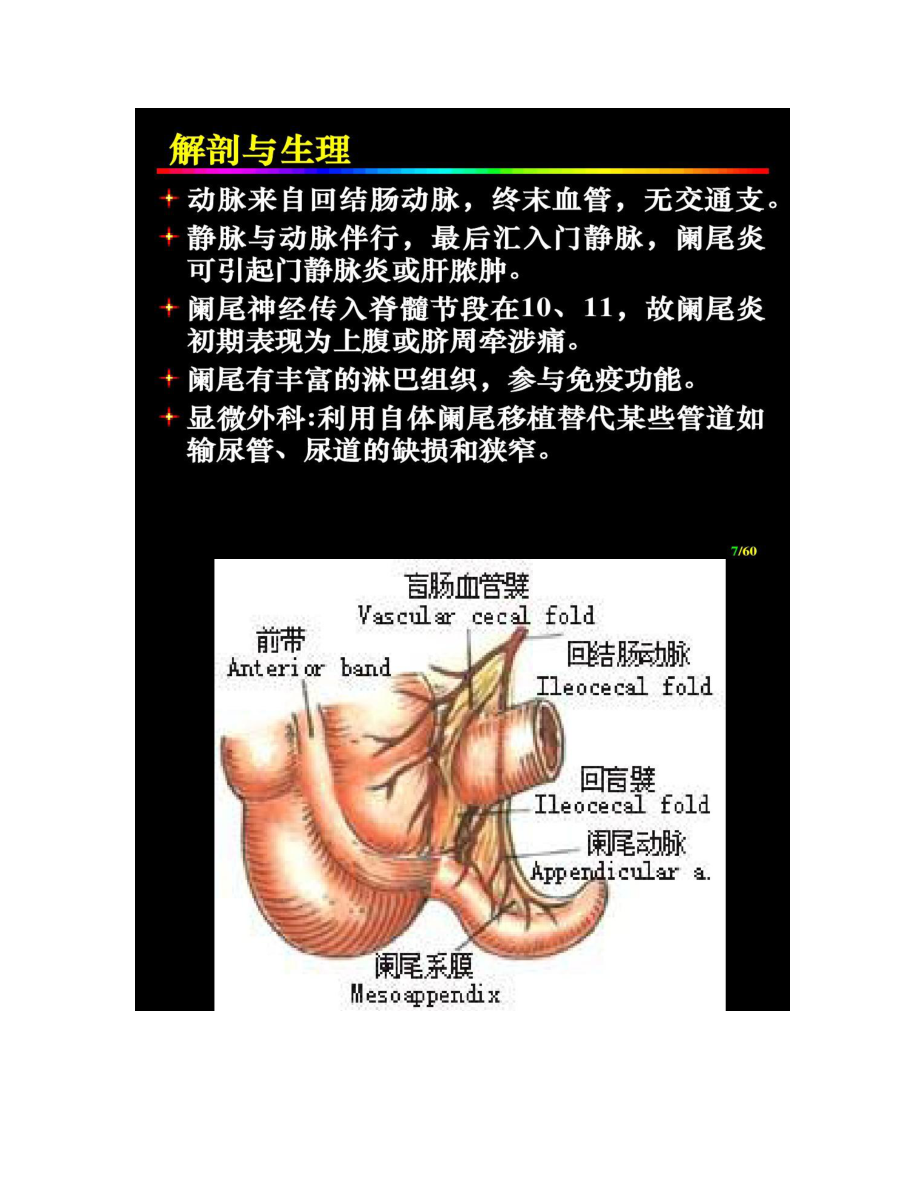 【圖文】闌尾炎Acute_appendicitis_第4頁