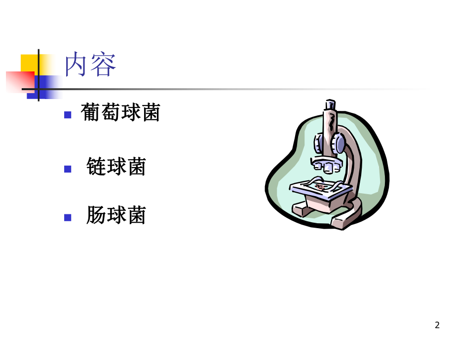 临床常见致病球菌ppt课件_第2页