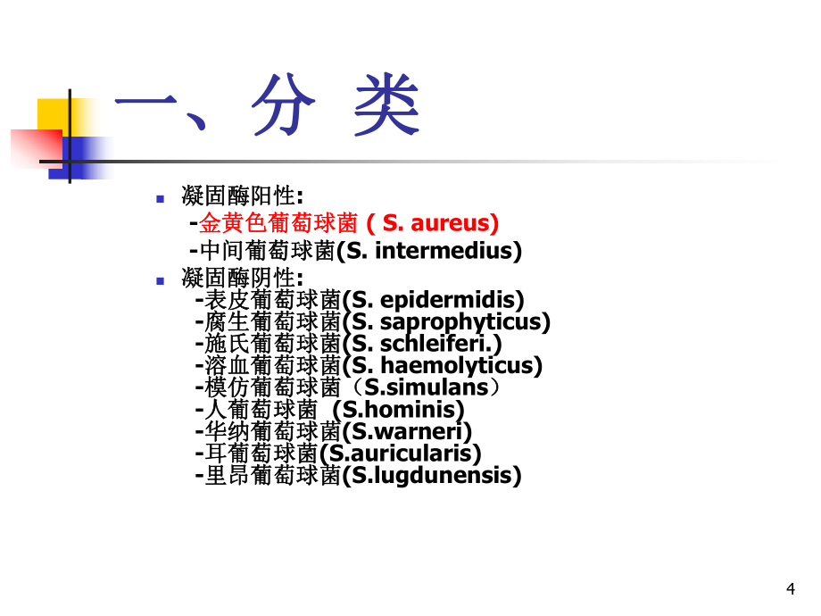 临床常见致病球菌ppt课件_第4页