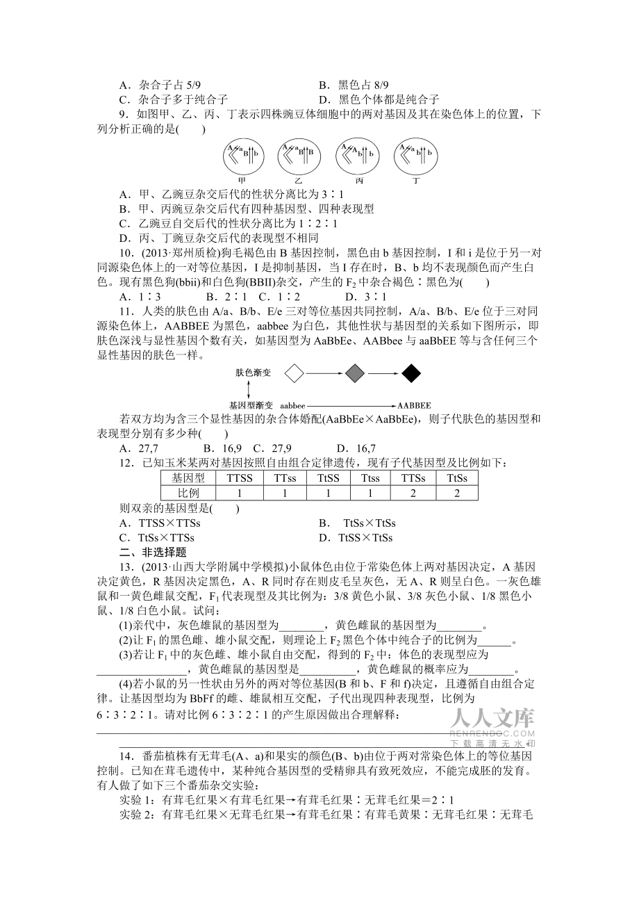 生物复习自由组合的习题_第2页