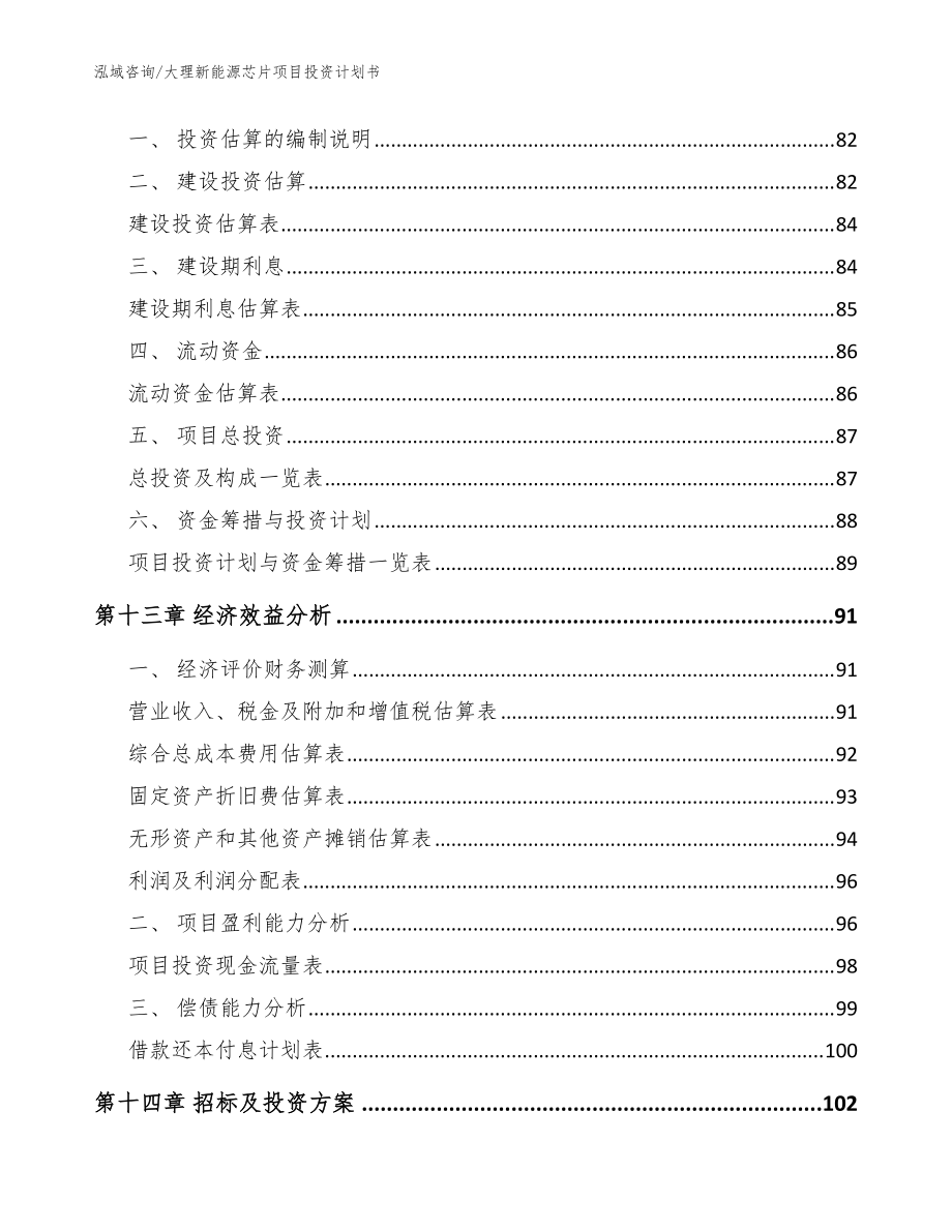 大理新能源芯片项目投资计划书（参考模板）_第5页