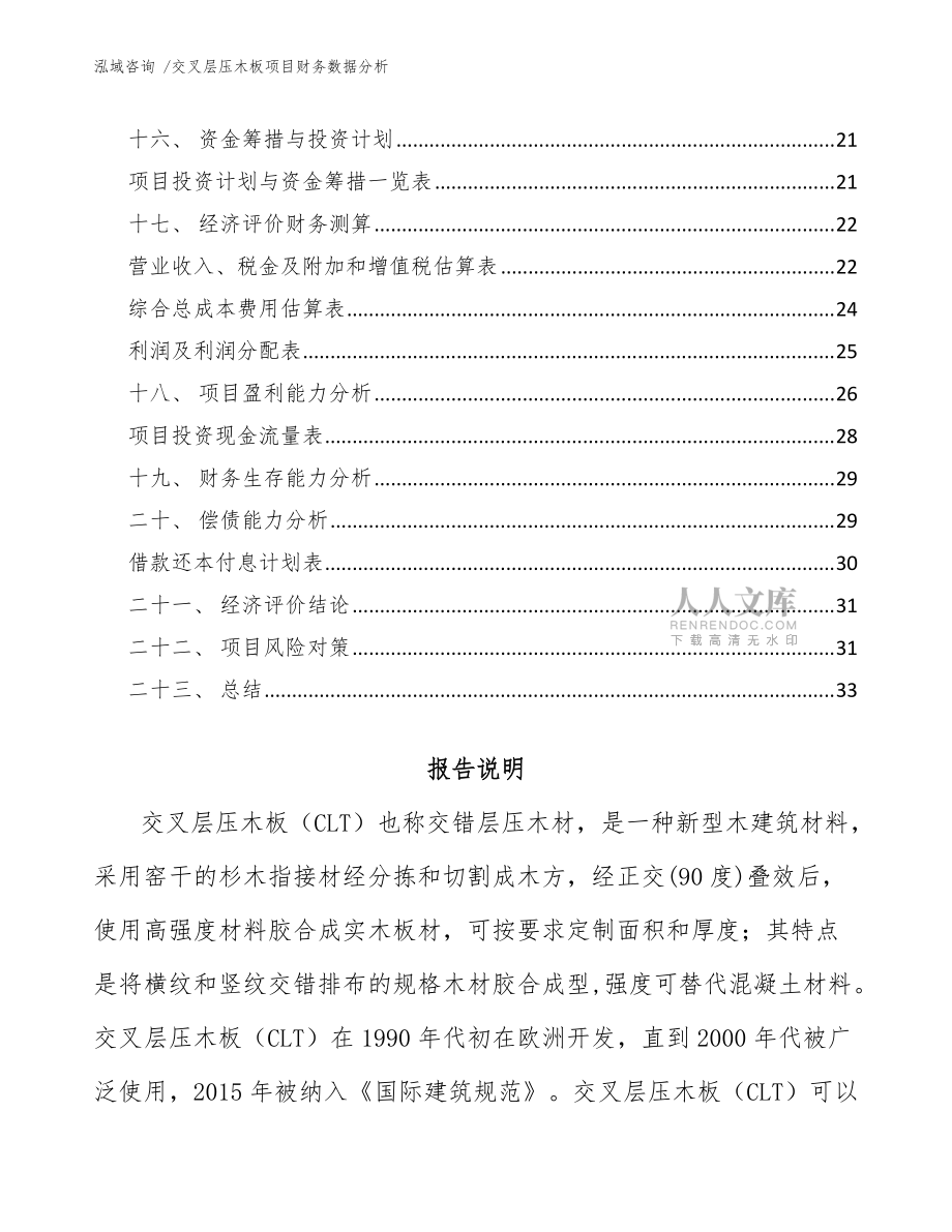 交叉层压木板项目财务数据分析(模板参考)_第2页