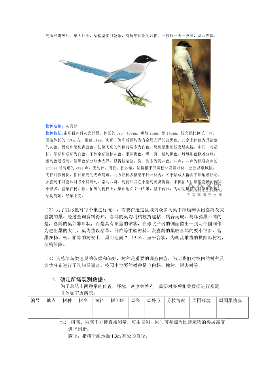 鸟类调查报告_第2页