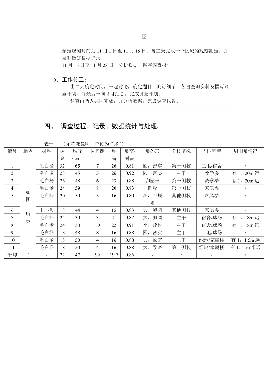 鸟类调查报告_第4页