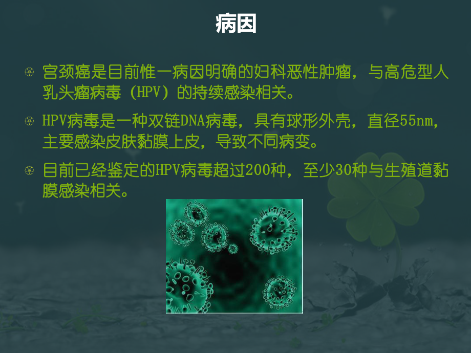 宫颈癌前病变处理方式_图文_第4页