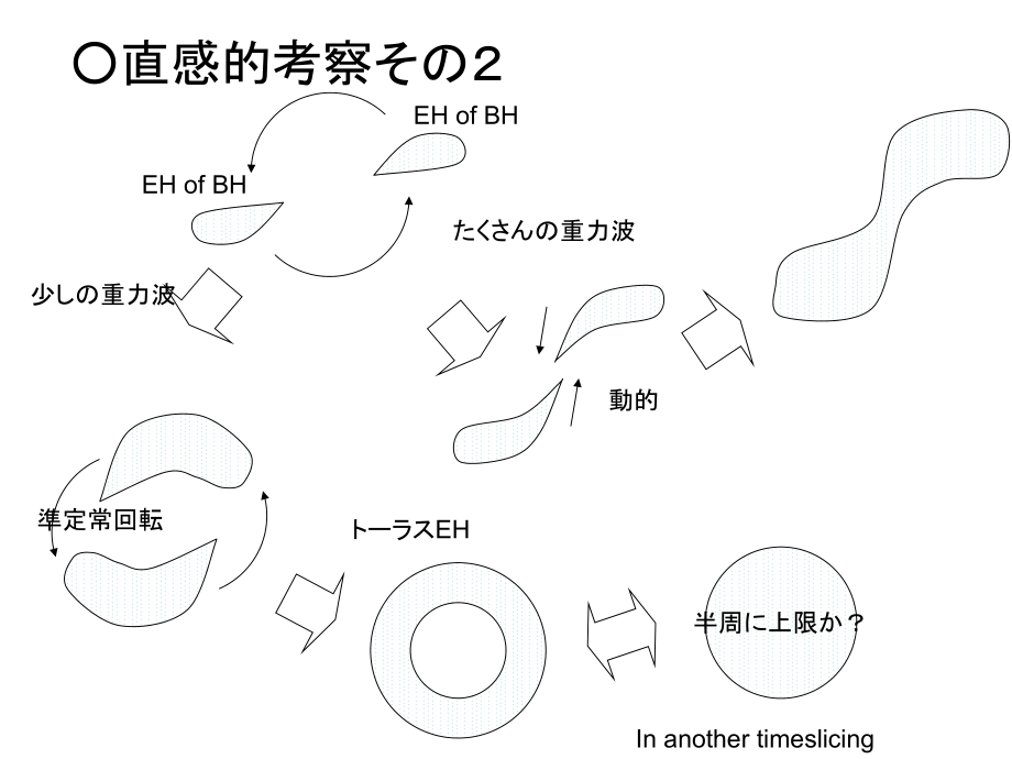 连星BH半周定理_第5页