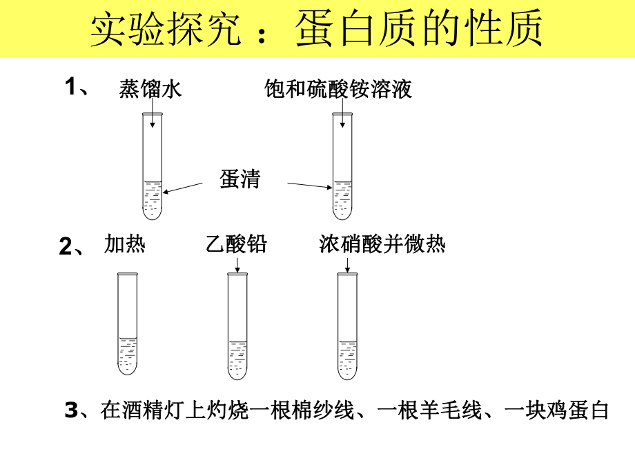 83_蛋白质_维生素_第5页