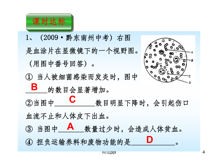 人教版生物七年级下册心脏_第4页