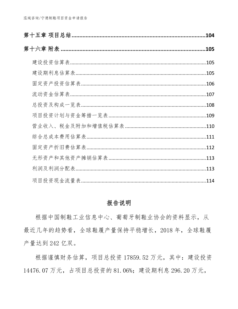 寧德制鞋項目資金申請報告(模板參考)_第5頁