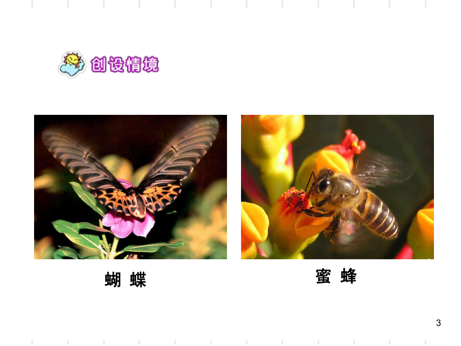 人教版五年级语文下册《祖父的园子》(课堂PPT)_第3页