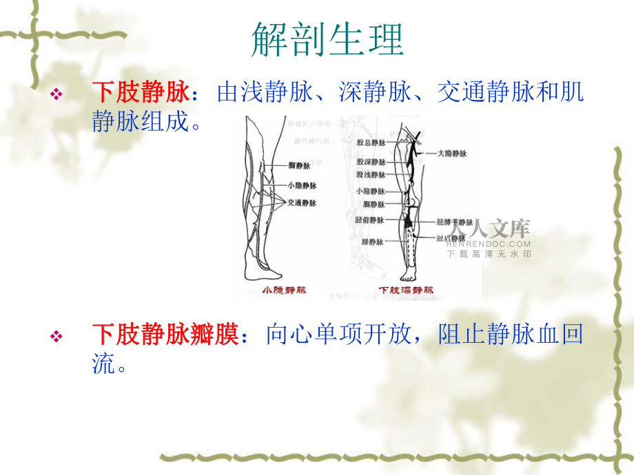 静脉曲张课件-ppt(1)教学提纲_第2页