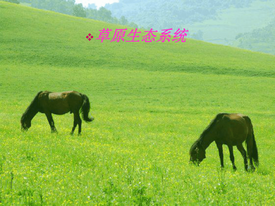 生态系统的物质循环课件_第1页