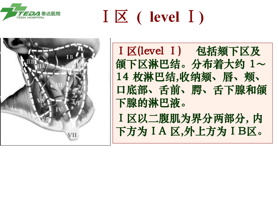 颈部淋巴结分区示意图(2)教学提纲_第4页