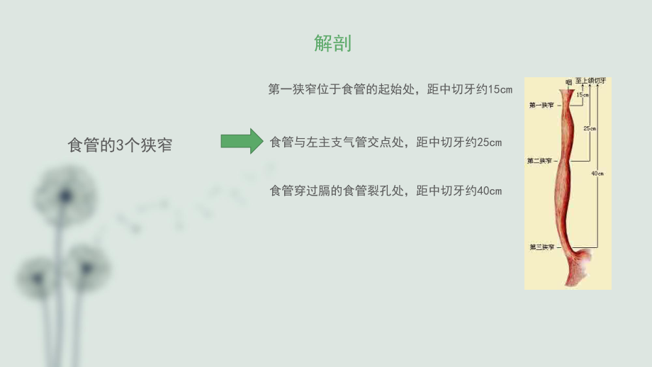 食管癌的护理查房(1)电子教案_第3页