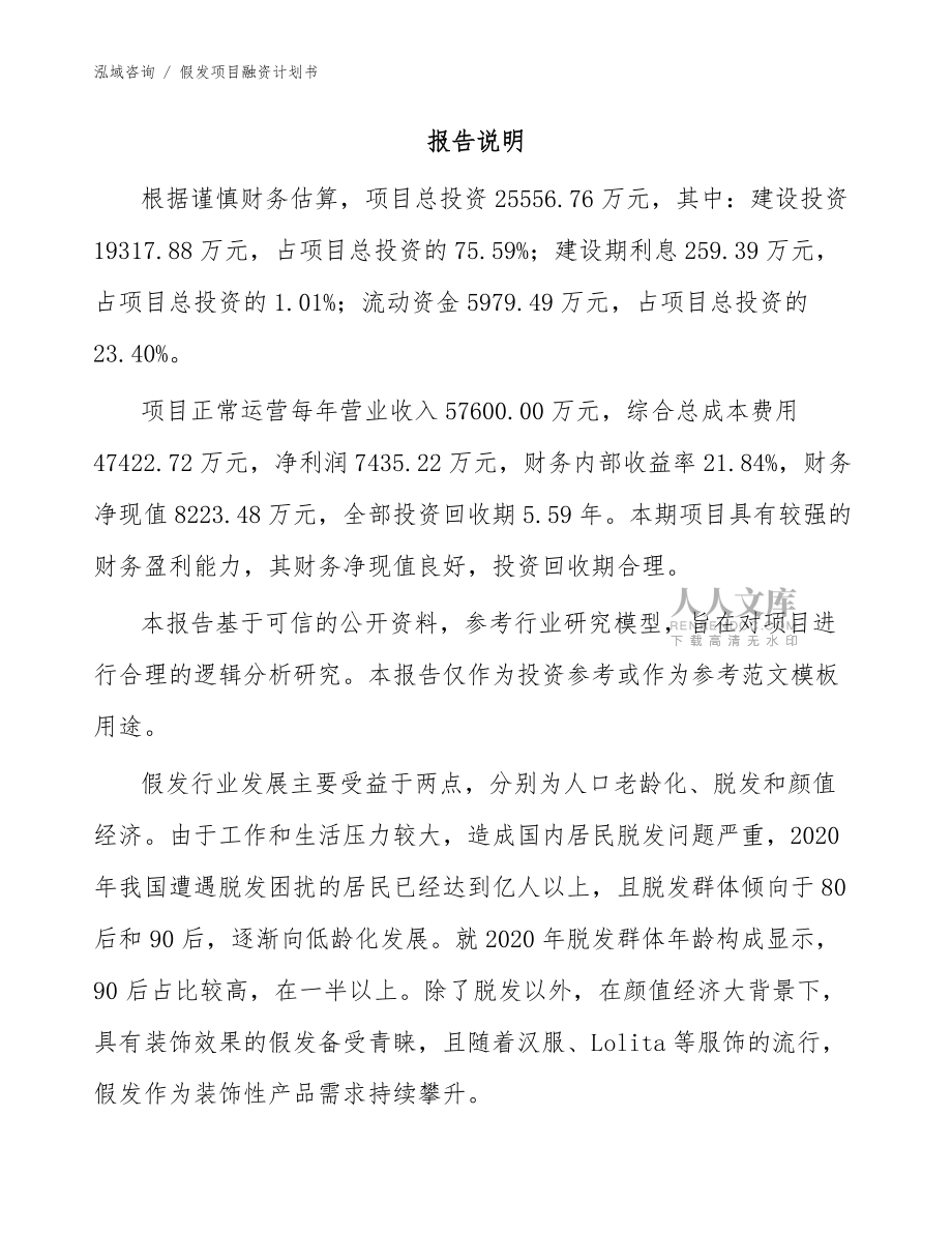 假发项目融资计划书模板范文_第2页