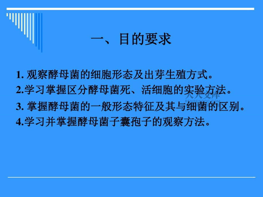 試驗八酵母菌的形態觀察_第2頁