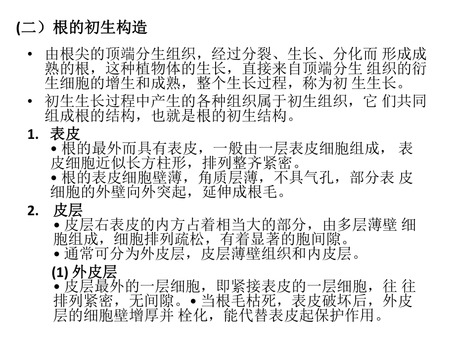 根的内部构造_第5页