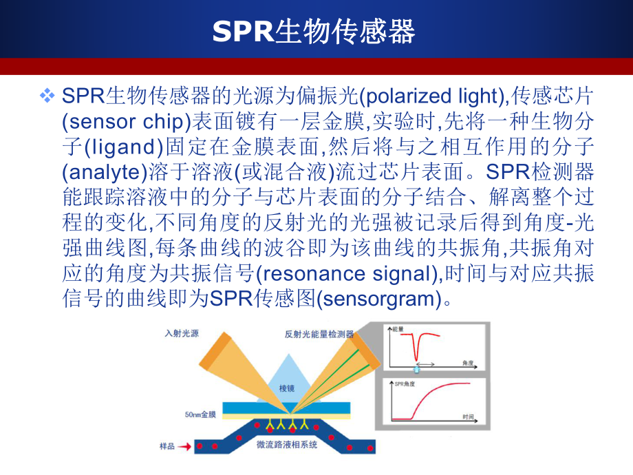 表面等離子共振 (SPR) 技術(shù)與Biacore原理_第5頁(yè)