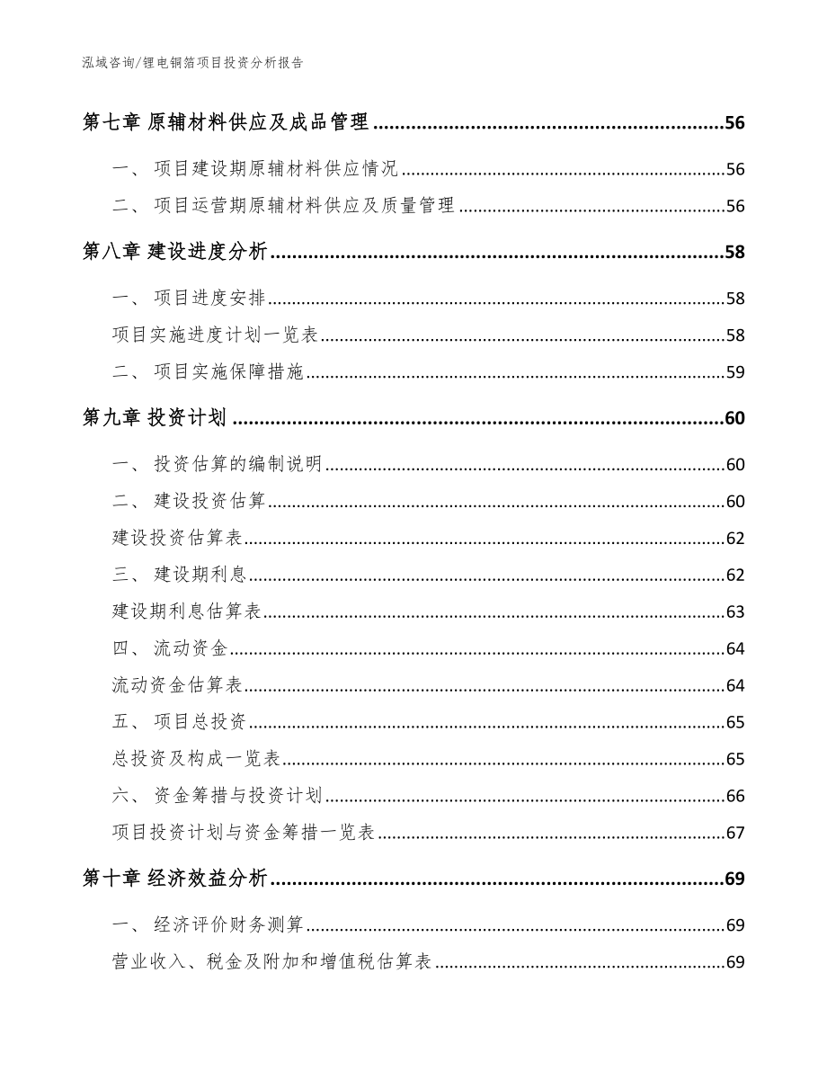 锂电铜箔项目投资分析报告(模板范文)_第3页