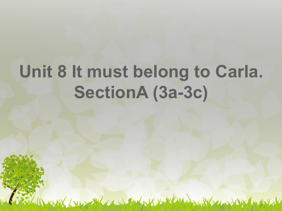 It must belong to Carla Section A (3a-3c)_第1頁