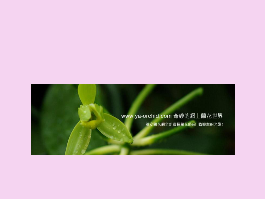 第五章花卉的繁殖2ppt课件_第5页