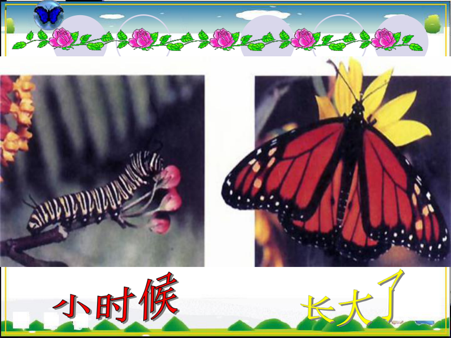 北师大版七年级生物下册教案_第4页