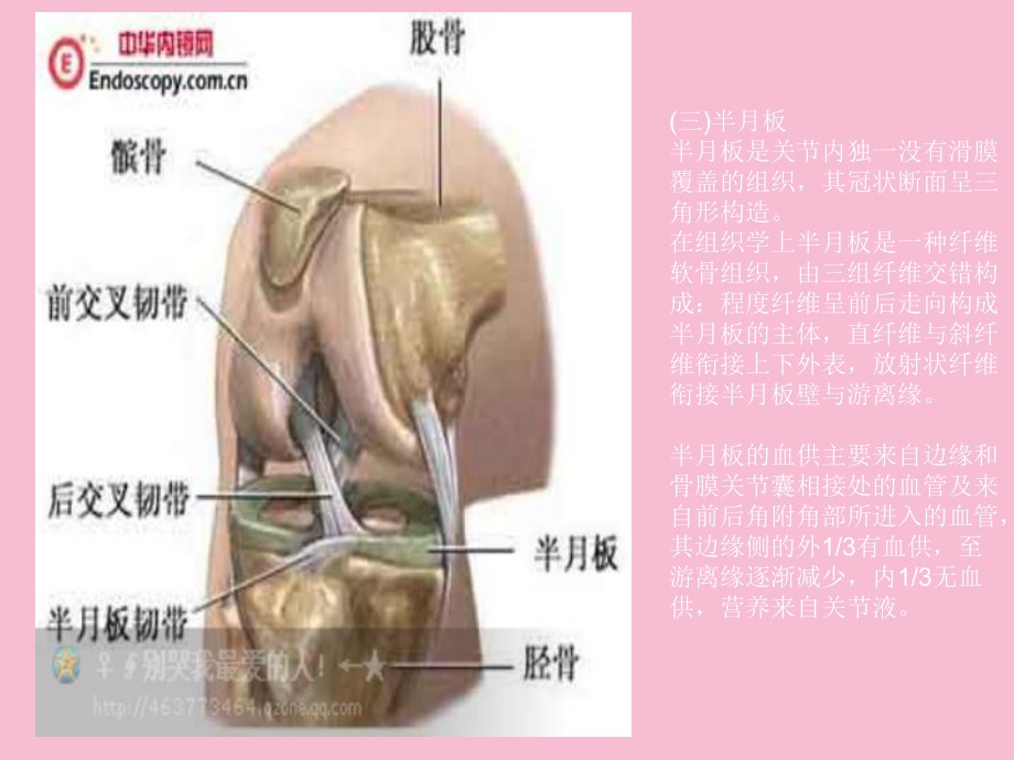 膝关节镜手术后的康复ppt课件_第4页