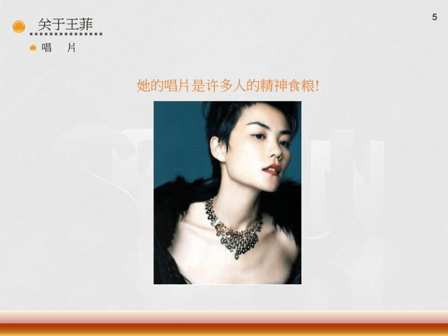 王菲演唱会_ppt课件_第5页