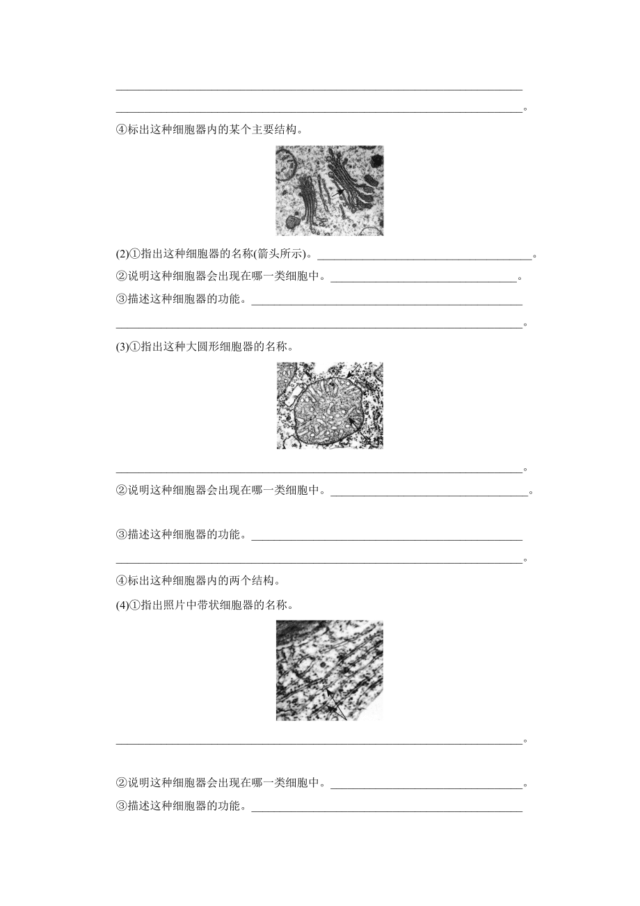 细胞的结构图像识别_第3页