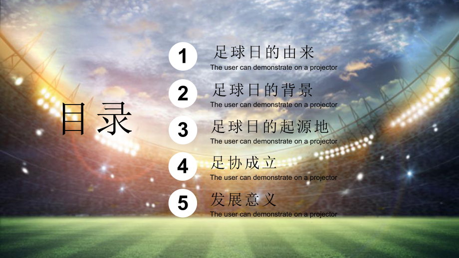 世界足球日策划培训讲座课件PPT_第2页