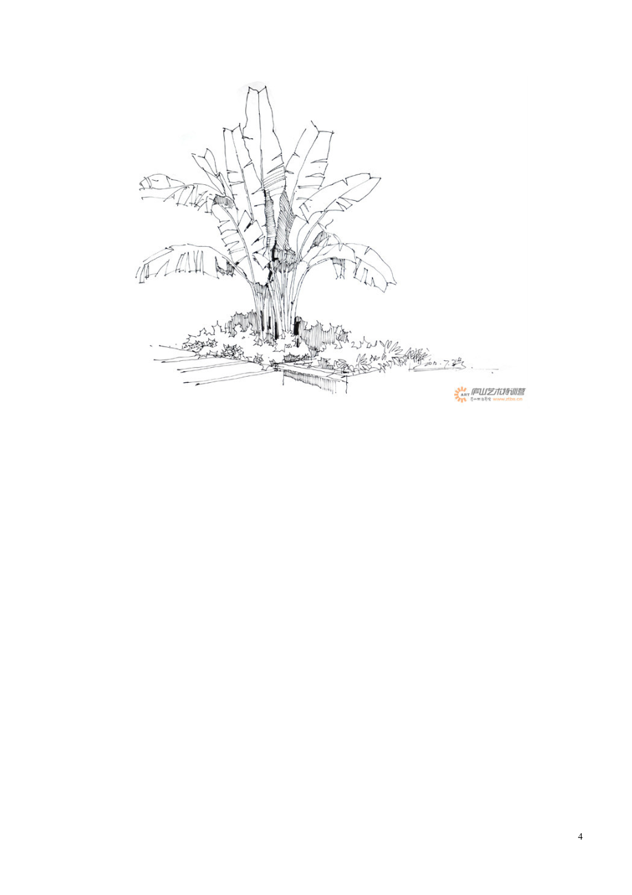 各种植物手绘线稿_第4页
