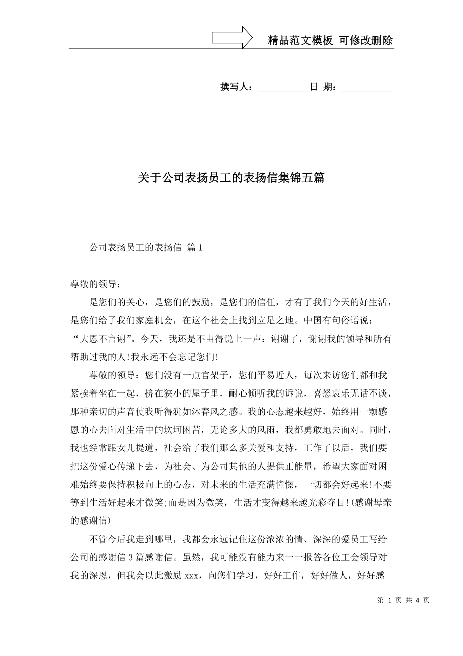 关于公司表扬员工的表扬信集锦五篇_第1页